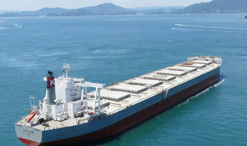 CAPE HOPE Bulk Carrier IMO 9700823 photo 3
