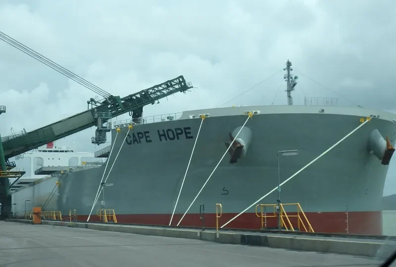 CAPE HOPE Bulk Carrier IMO 9700823 photo 5