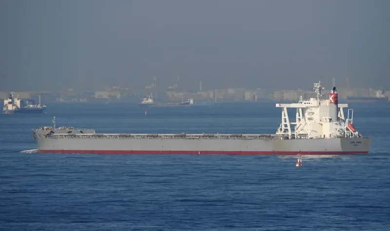 CAPE HOPE Bulk Carrier IMO 9700823 photo 9