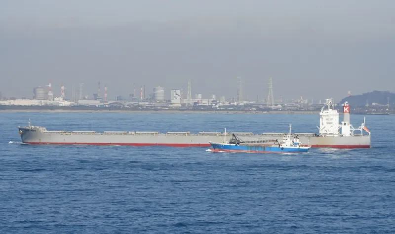 CAPE HOPE Bulk Carrier IMO 9700823 photo 10