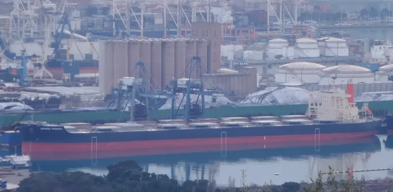 ORANGE PHOENIX Bulk Carrier IMO 9700835 photo 2