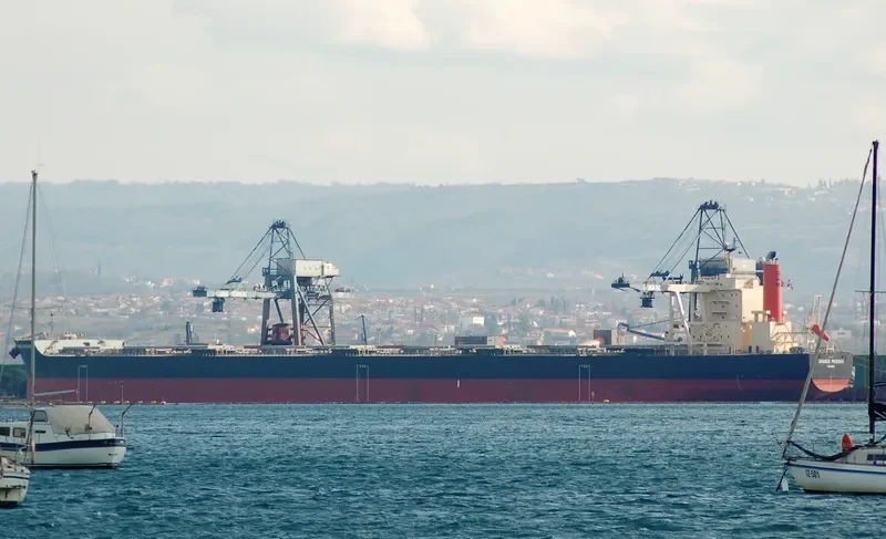 ORANGE PHOENIX Bulk Carrier IMO 9700835 photo 5