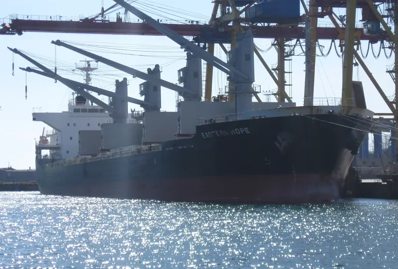 EASTERN HOPE Bulk Carrier IMO 9700847 photo 3