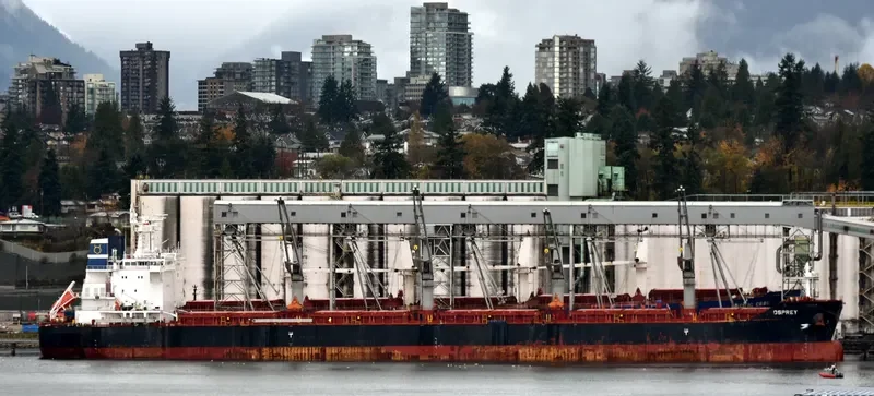 OSPREY Bulk Carrier IMO 9700859