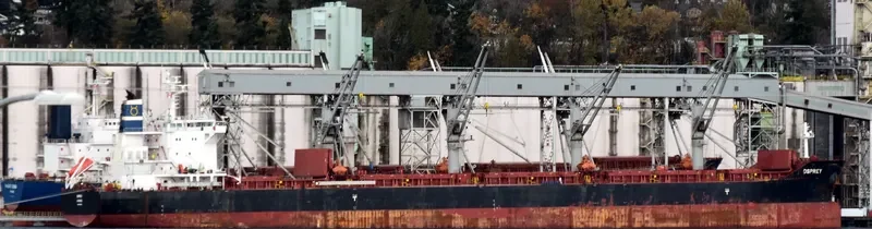 OSPREY Bulk Carrier IMO 9700859 photo 2