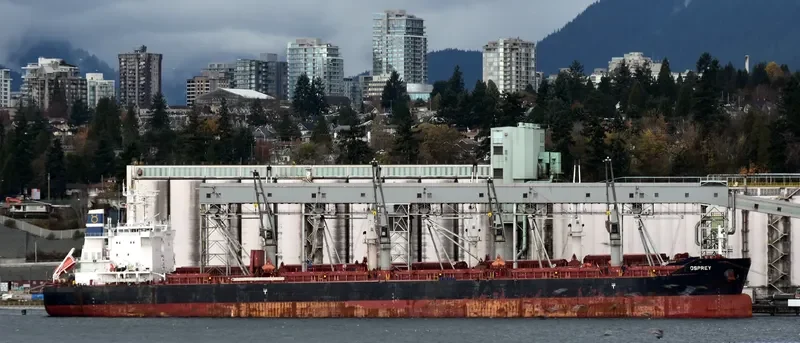 OSPREY Bulk Carrier IMO 9700859 photo 3
