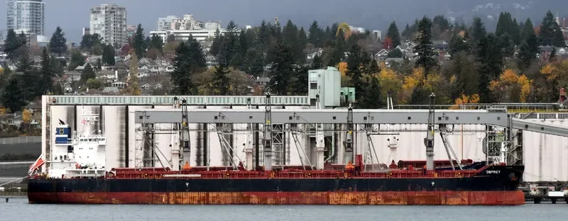 OSPREY Bulk Carrier IMO 9700859 photo 4