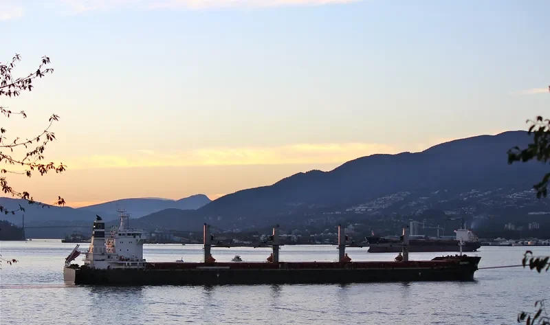 OSPREY Bulk Carrier IMO 9700859 photo 5