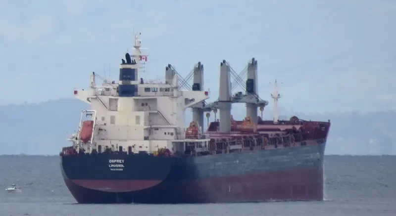 OSPREY Bulk Carrier IMO 9700859 photo 8