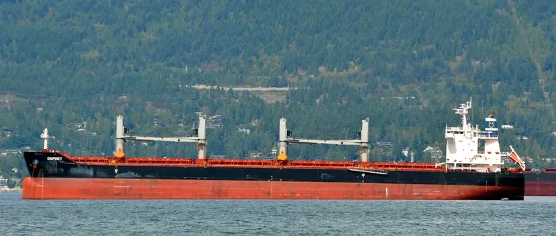 OSPREY Bulk Carrier IMO 9700859 photo 9