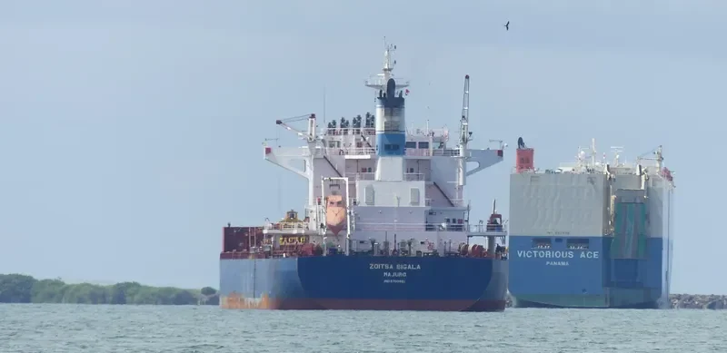 ZOITSA SIGALA Bulk Carrier IMO 9700861