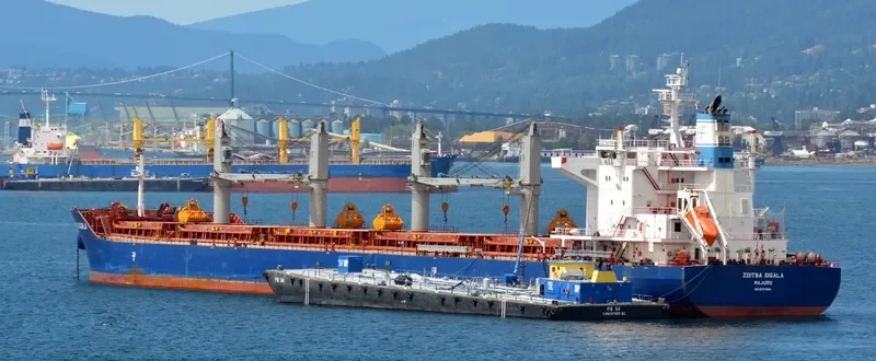 ZOITSA SIGALA Bulk Carrier IMO 9700861 photo 8