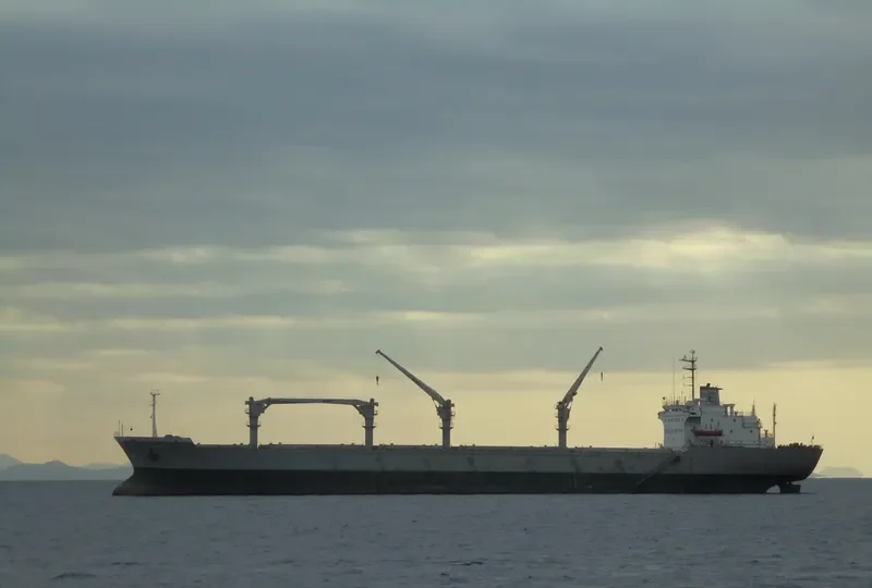ATLANTIC ISLAND Bulk Carrier IMO 9700873 photo 4