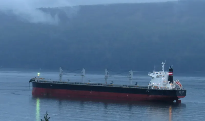 GOLDEN GLORY Bulk Carrier IMO 9700885 photo 3