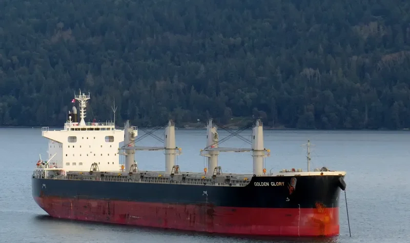 GOLDEN GLORY Bulk Carrier IMO 9700885 photo 4