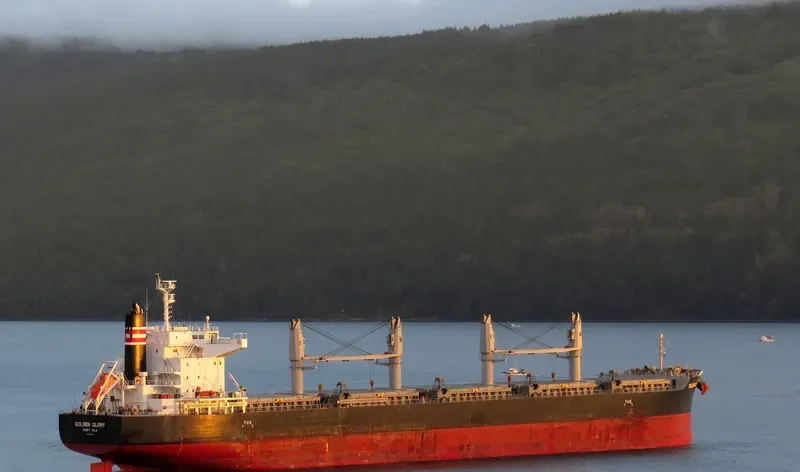 GOLDEN GLORY Bulk Carrier IMO 9700885 photo 5