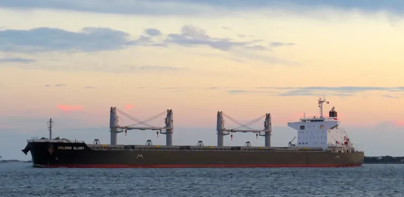 GOLDEN GLORY Bulk Carrier IMO 9700885 photo 9