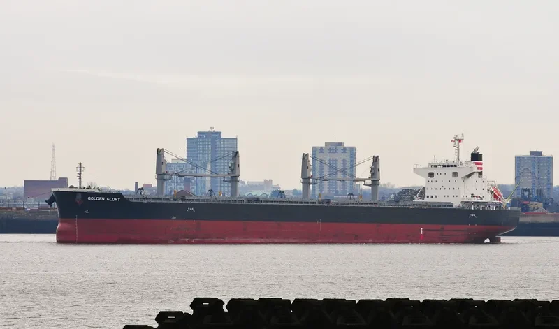 GOLDEN GLORY Bulk Carrier IMO 9700885 photo 10