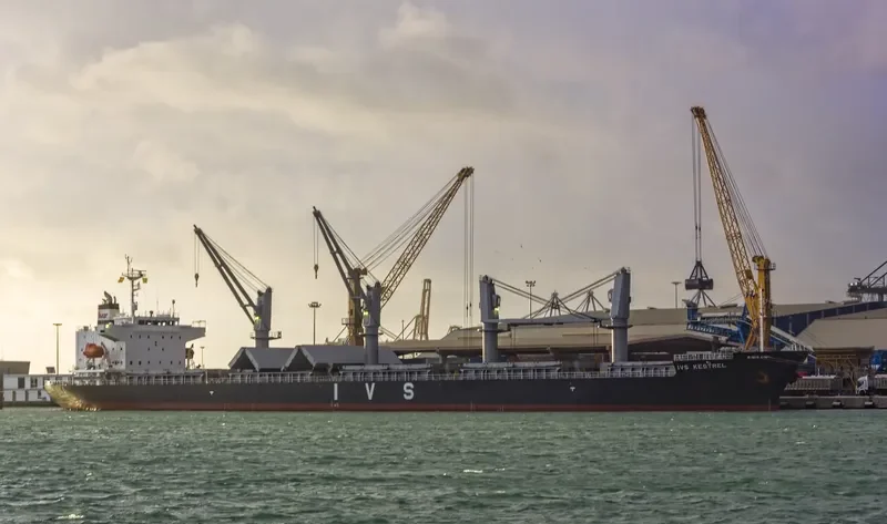 IVS KESTREL General Cargo IMO 9700926 photo 3