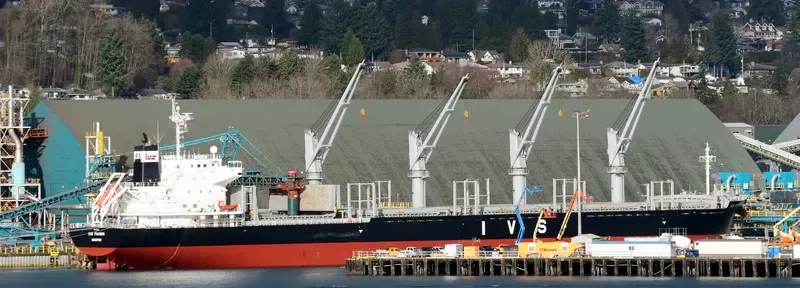 IVS PHINDA General Cargo IMO 9700940