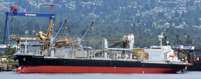 ANGELIC ZEPHYR General Cargo IMO 9700964 photo 4