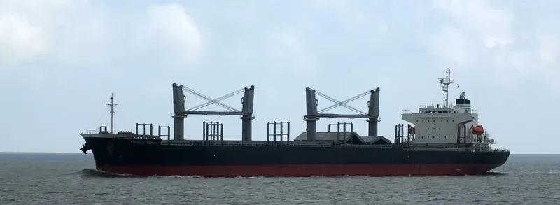 ANGELIC ZEPHYR General Cargo IMO 9700964 photo 10