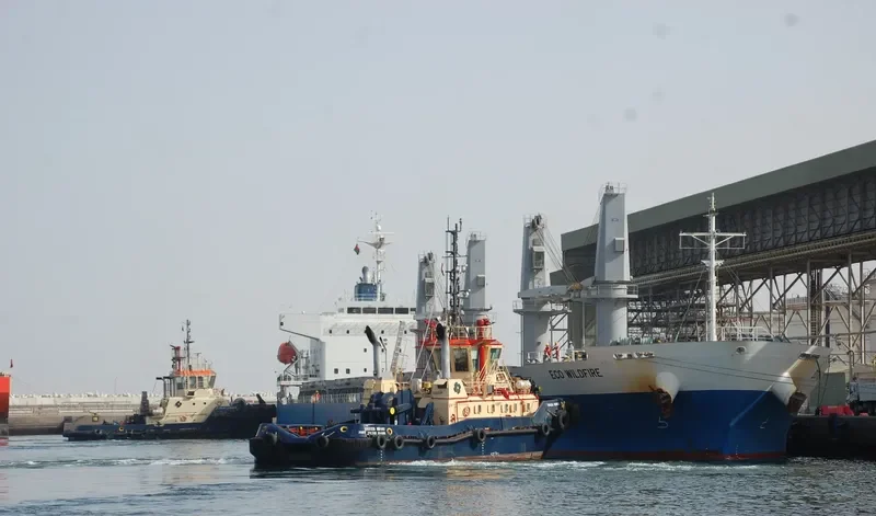 MONEGASQUE EPEE Bulk Carrier IMO 9701011 photo 2