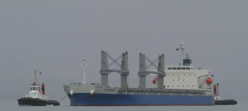 MONEGASQUE EPEE Bulk Carrier IMO 9701011 photo 3