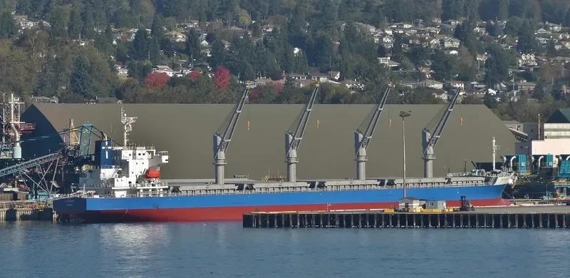 MONEGASQUE EPEE Bulk Carrier IMO 9701011 photo 5