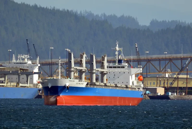 MONEGASQUE EPEE Bulk Carrier IMO 9701011 photo 6