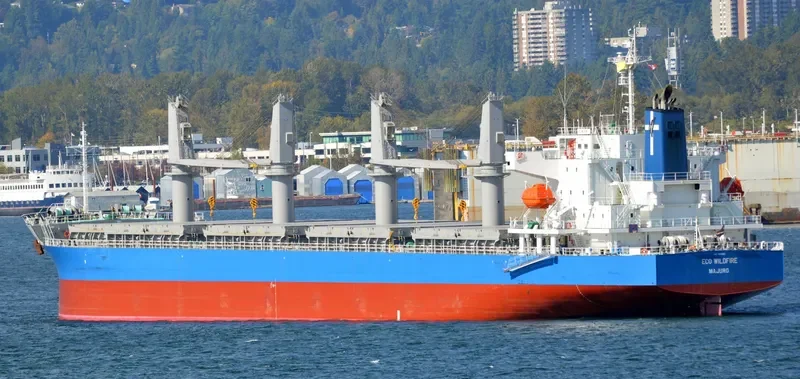 MONEGASQUE EPEE Bulk Carrier IMO 9701011 photo 7