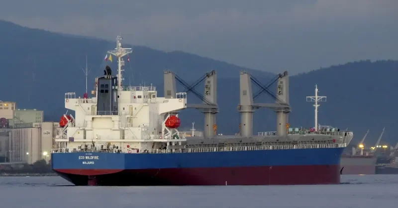 MONEGASQUE EPEE Bulk Carrier IMO 9701011 photo 8