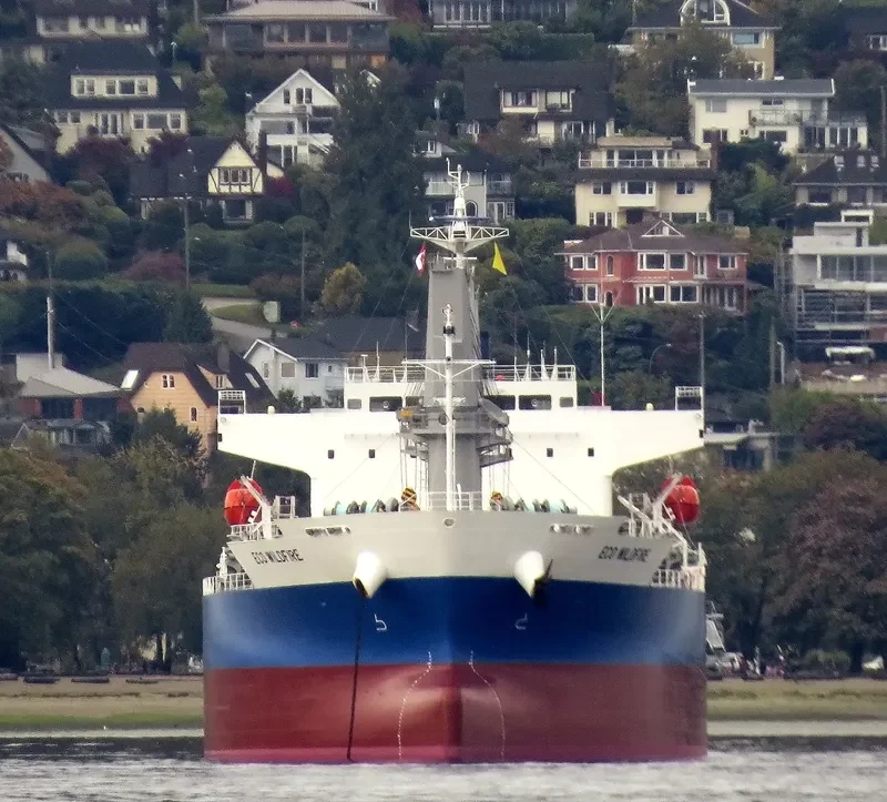 MONEGASQUE EPEE Bulk Carrier IMO 9701011 photo 9