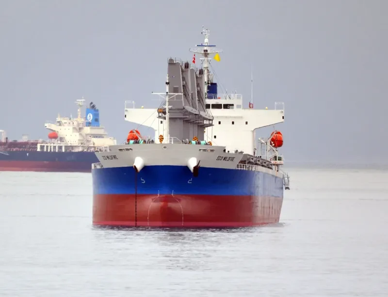 MONEGASQUE EPEE Bulk Carrier IMO 9701011 photo 10