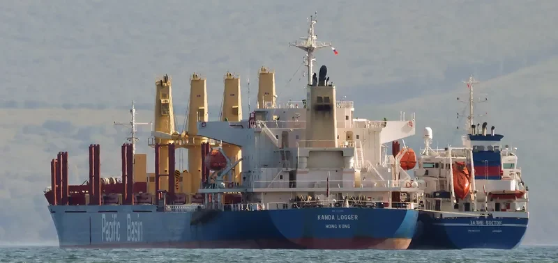 KANDA LOGGER Bulk Carrier IMO 9701035 photo 2