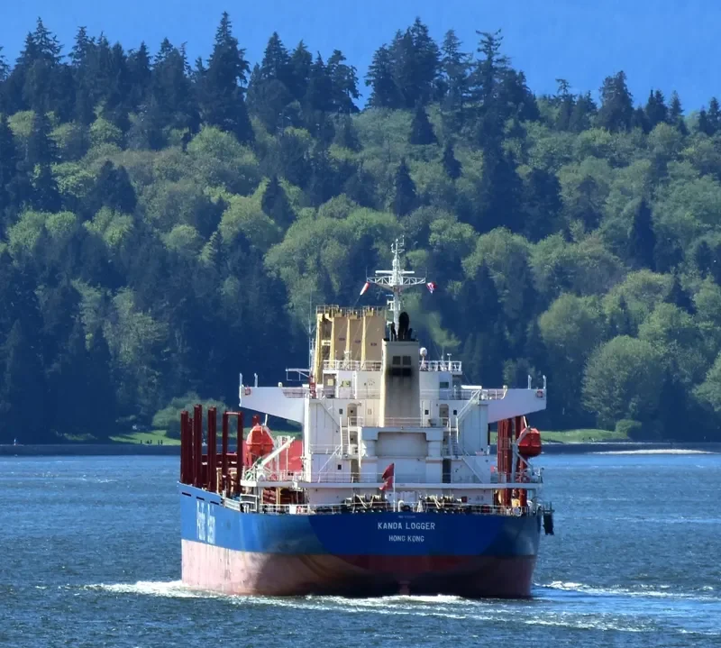 KANDA LOGGER Bulk Carrier IMO 9701035 photo 3