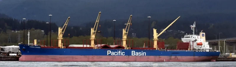 KANDA LOGGER Bulk Carrier IMO 9701035 photo 4