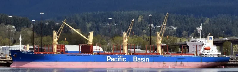 KANDA LOGGER Bulk Carrier IMO 9701035 photo 5
