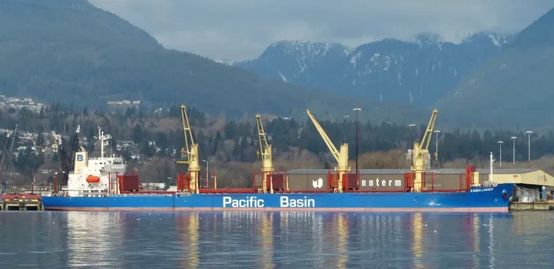 KANDA LOGGER Bulk Carrier IMO 9701035 photo 6