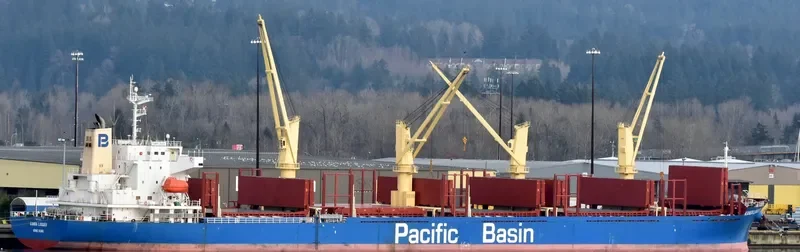 KANDA LOGGER Bulk Carrier IMO 9701035 photo 7
