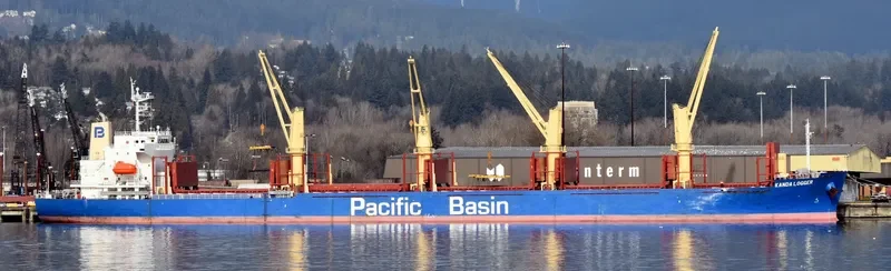 KANDA LOGGER Bulk Carrier IMO 9701035 photo 8