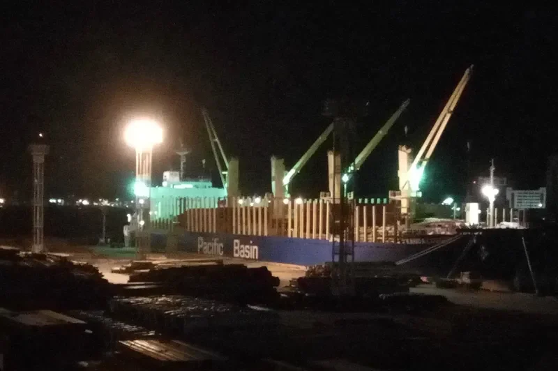 KANDA LOGGER Bulk Carrier IMO 9701035 photo 9