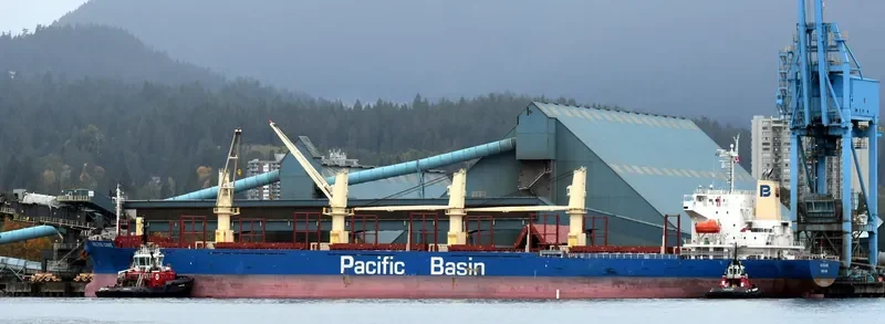 KULTUS COVE Bulk Carrier IMO 9701059 photo 2