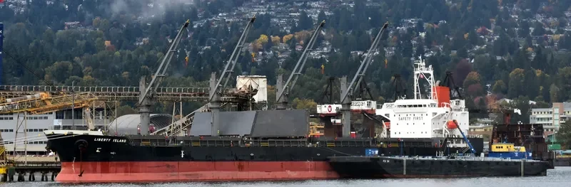KULTUS COVE Bulk Carrier IMO 9701059 photo 3
