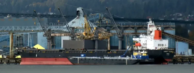 KULTUS COVE Bulk Carrier IMO 9701059 photo 4