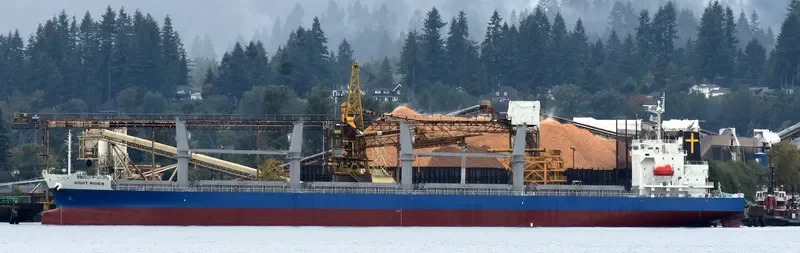 OUTRIDER Bulk Carrier IMO 9701061 photo 3