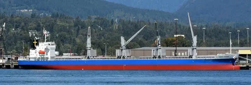 OUTRIDER Bulk Carrier IMO 9701061 photo 5
