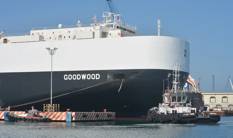GOODWOOD General Cargo IMO 9701140