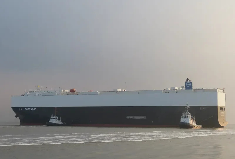 GOODWOOD General Cargo IMO 9701140 photo 6