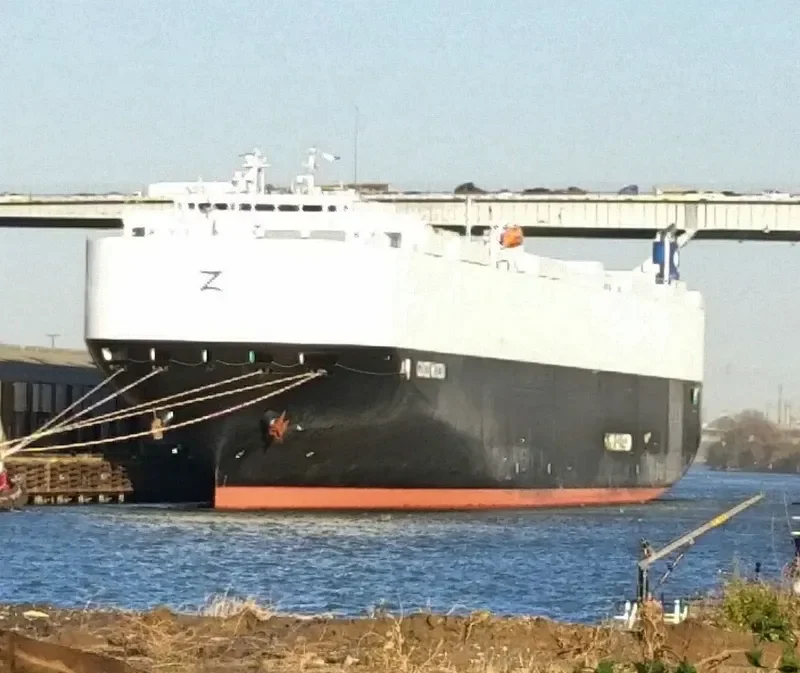GOODWOOD General Cargo IMO 9701140 photo 9